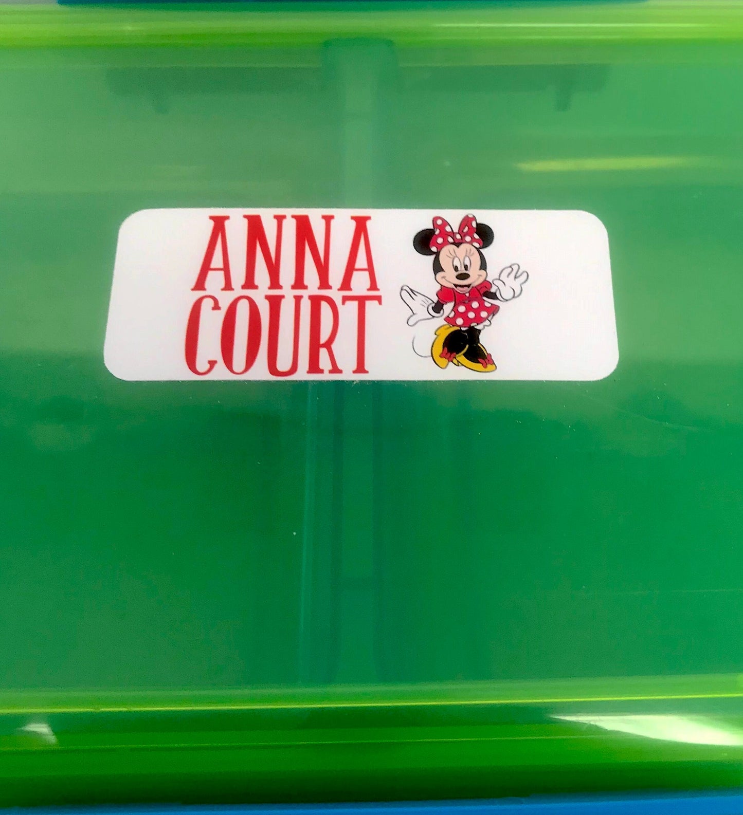 Water resistant Minnie Mouse/Mickey Mouse Name Labels