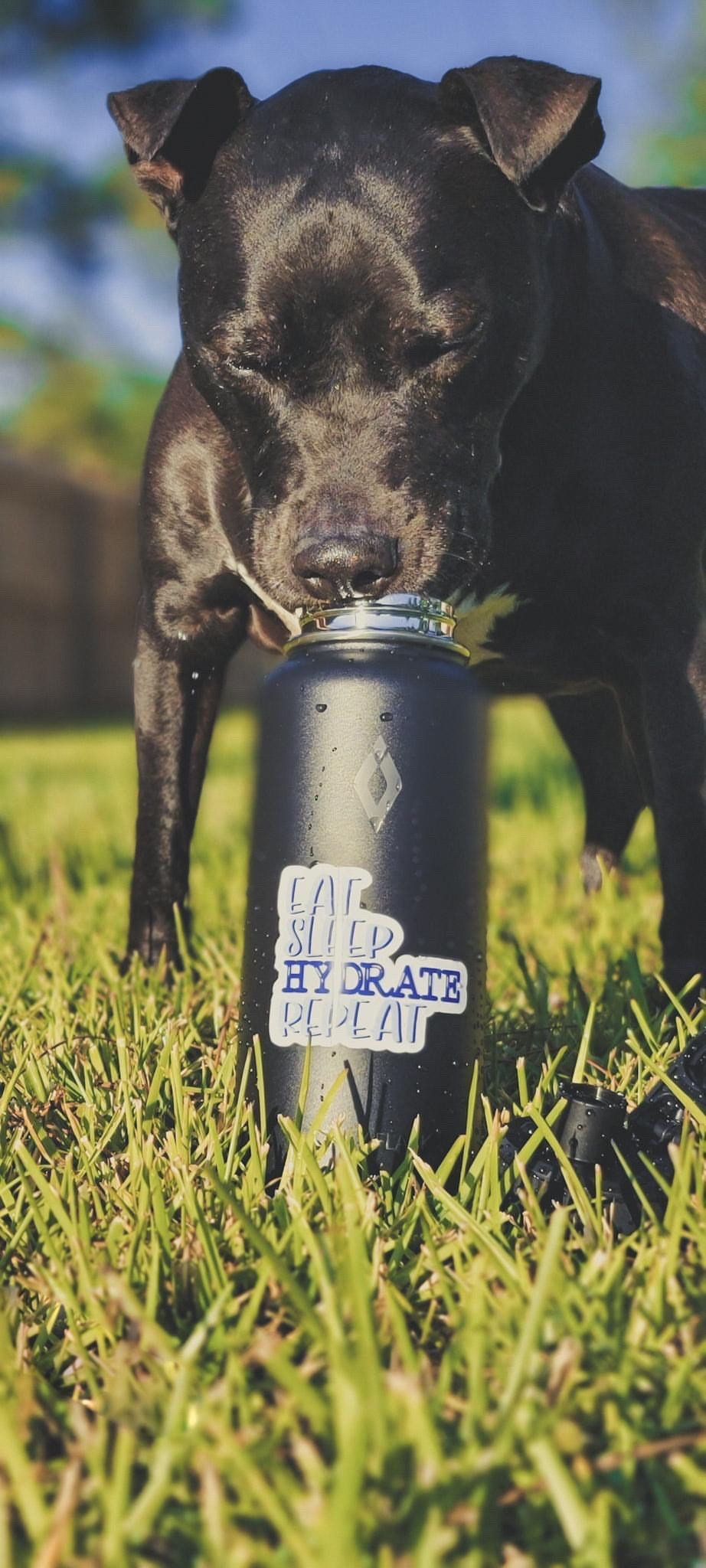 Eat Sleep Hydrate Repeat waterproof sticker